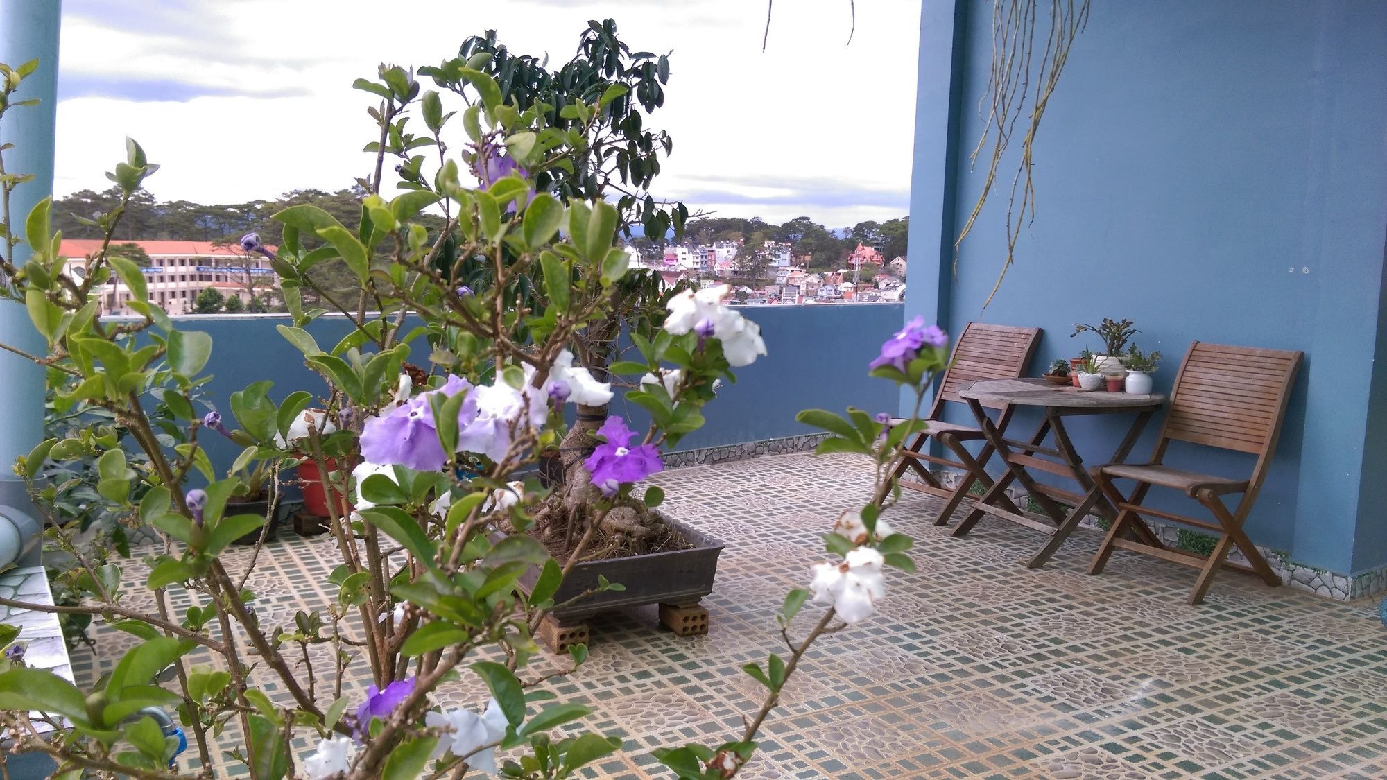 Hai Long Vuong Hotel Da Lat Exterior photo